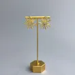 Earrings 10