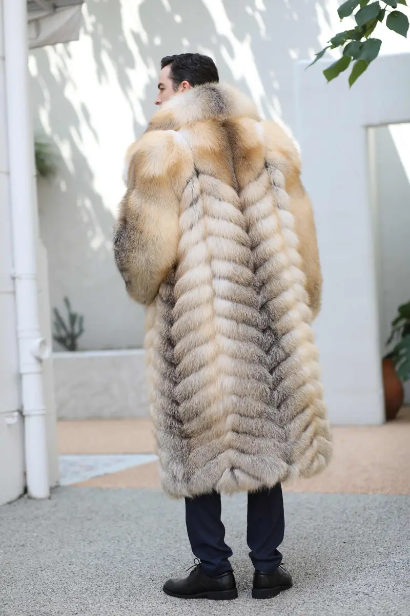 Golden Island fox long style-(73)