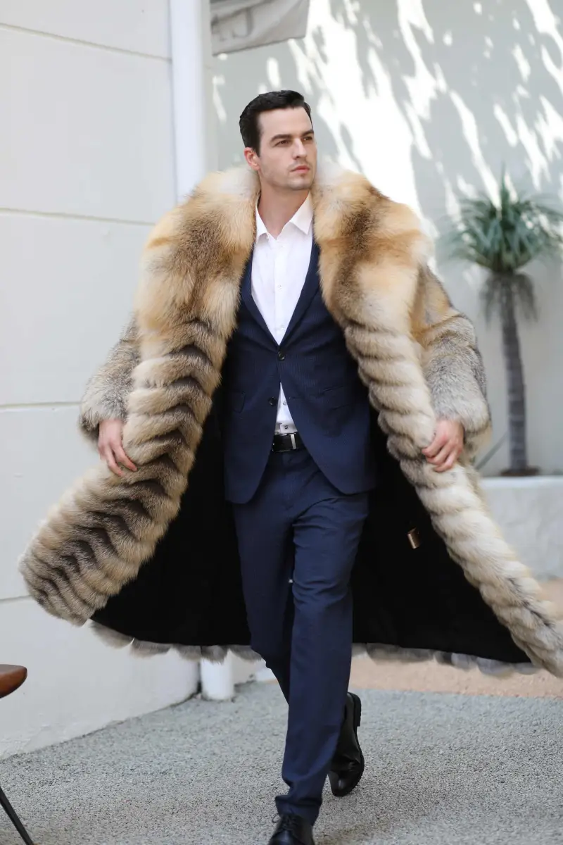 Golden Island fox long style-(38)