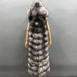 Women's long silver fox capeColor:Grey
